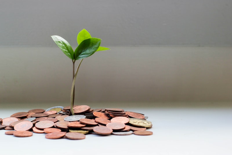 The 50/30/20 Budgeting Rule Reimagined for High-Inflation Economies